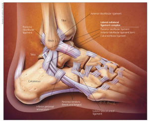 Lateral Ankle Sprain