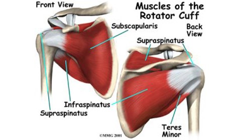 Rotator Cuff Problems