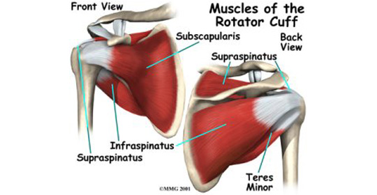 Rotator Cuff Problems